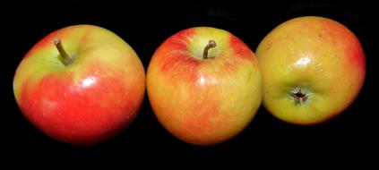 Beautiful and colorful, glossy apples, at black background