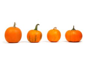 orange Decoration Fall