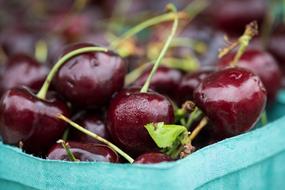 Cherries Fresh Fruits red close-up on blurred background