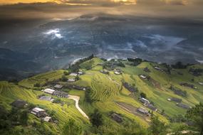 Vietnam Rice Field green terraces
