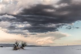 Sand White Scenic and sky