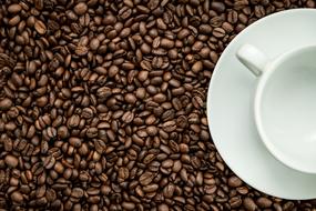 Caffeine Espresso