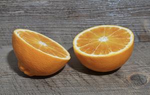 Citrus Fruit Orange Food