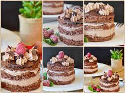 Chocolate and Cream Cake