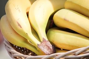 Bananas Tropical Fruit yellow