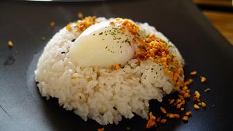 Japan Food Egg rice