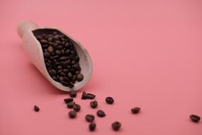 Coffee Beans pink background