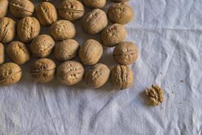 walnuts on white cloth