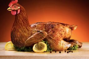 Poultry Food
