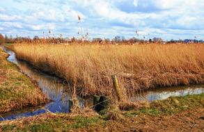 water ditches in the field