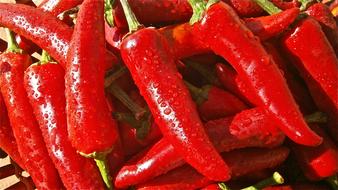 Fruit Pepper Vegetable red water drops