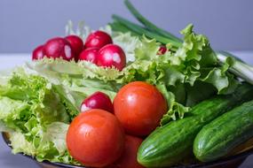 Salad Fresh Vegetables healthy