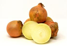 fresh Onions Vegetables