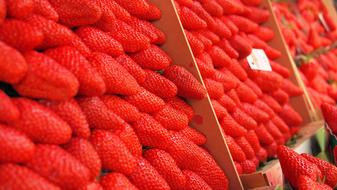 big fresh Strawberries on Market stall