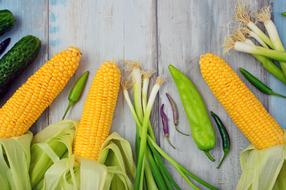 bright yellow corn and other vegetables as still life