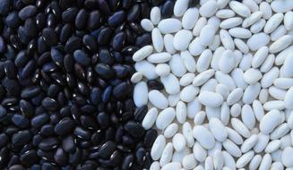 black and white beans, close-up