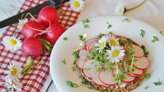 salad with radishes, herbs and chamomiles
