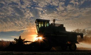 Combine Harvest Sunset