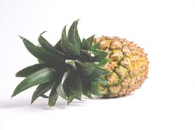 Pineapple Nature