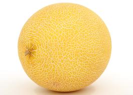 ripe yellow melon on white background