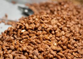 Nuts Almonds at Market