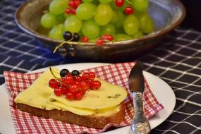 Dish with Cheese, Bread, grapes and red currants on the white plate