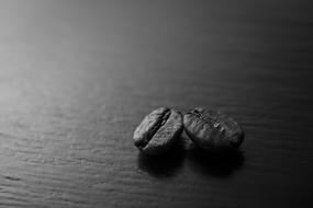 black and white photo of two coffee beans