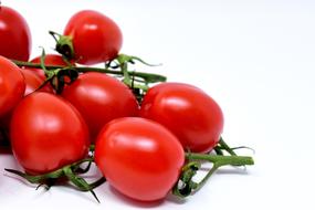 Red, shiny tomatoes on the green banches