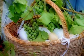 Beautiful, green grapes, with the leaves, eggs and white vegetables in the wicker basket with white ribbon