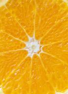 surface of cut Citrus fruit