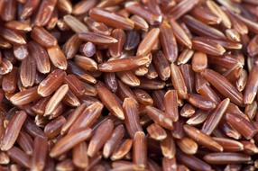 Pile of the beautiful, brown and red rice, in light