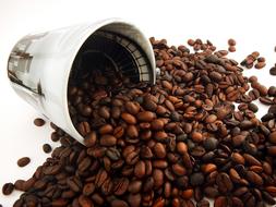 clipart of beautiful cup and sprinkled coffee beans