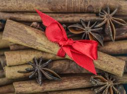 red bow on a cinnamon stick