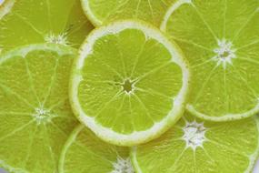 slices of lemons as background