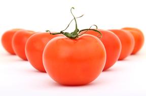 red Fresh Organic Tomatoes vegetables