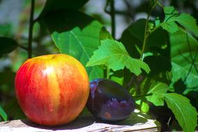 Apple Fruit Vitamins red yellow