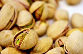 macro photo of ripe pistachios