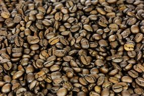 Grain Coffee beans Background