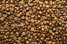 Coffee Food