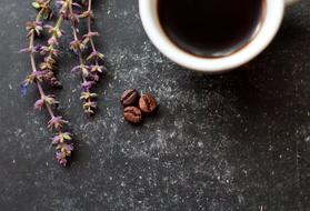 flowers and coffee for harmony