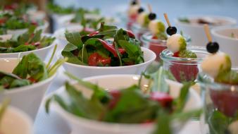 Salad plates Starter