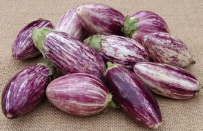 Eggplant Vegetables
