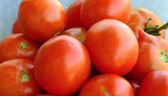 photo of ripe garden tomatoes