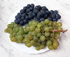 Grapes Plate red green