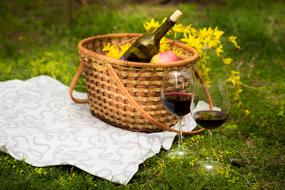 Wine and in Food Basket