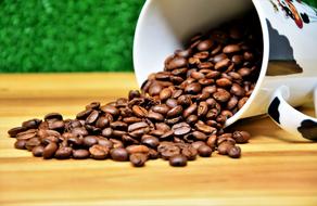 Brown Coffee Beans in Cup