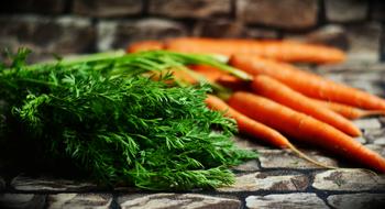 carrots and dill on the kitchen table close up