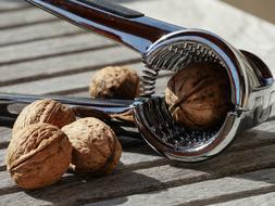 metal nutcracker and walnuts