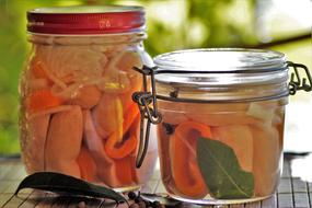 pickled sausages in a jar as a delicacy