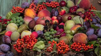 fruit bouquet with orange rowan